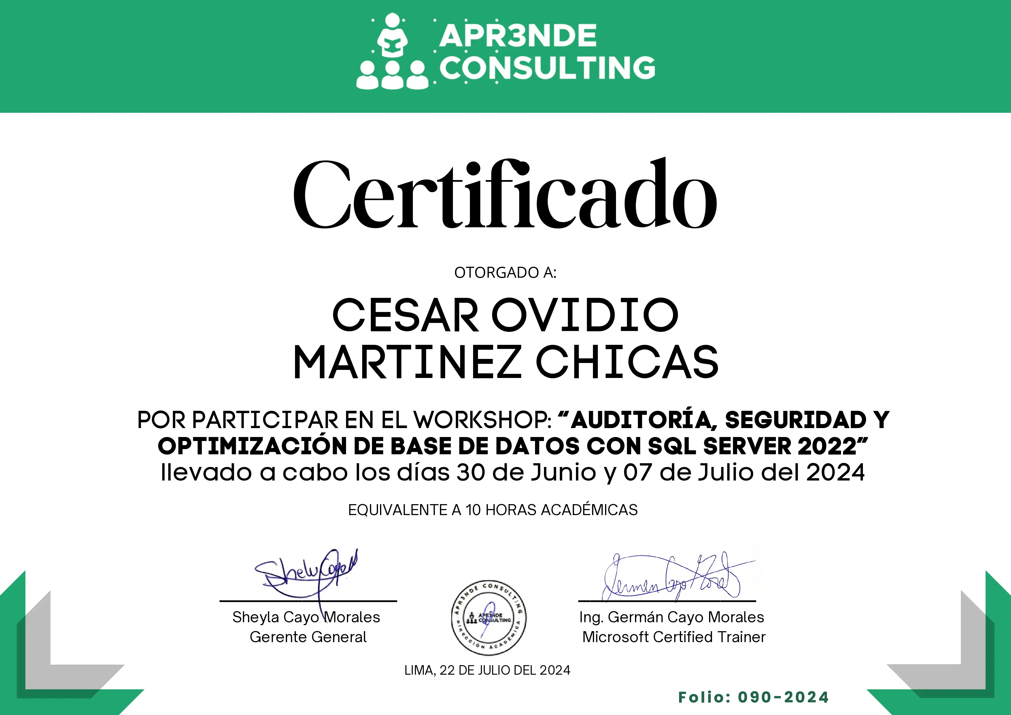 Captura de pantalla del proyecto ./Certificados/Workshop.webp